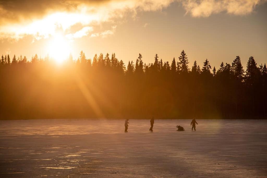 Cozy Mountain View Apartment Orrviken エクステリア 写真
