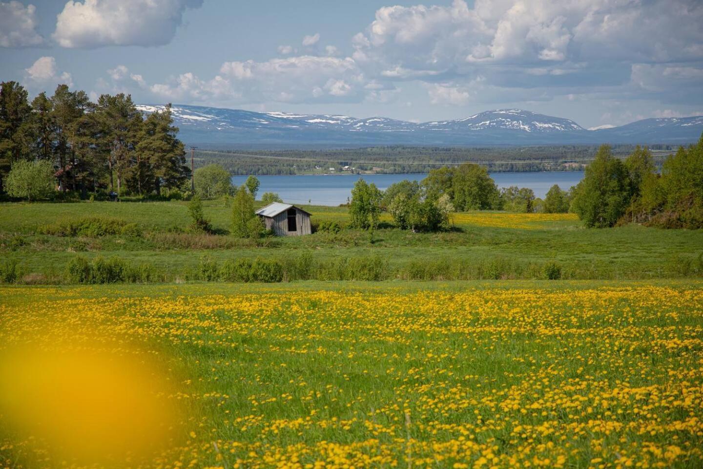 Cozy Mountain View Apartment Orrviken エクステリア 写真